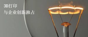3D打印技术的应用对企业创新独占的挑战与对策