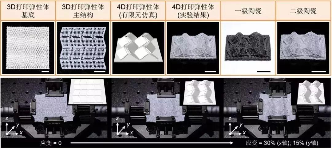 一篇顶刊配四项美国专利，香港城市大学首创陶瓷4D打印