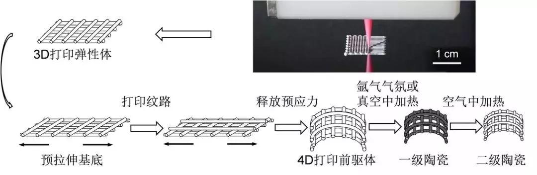 一篇顶刊配四项美国专利，香港城市大学首创陶瓷4D打印