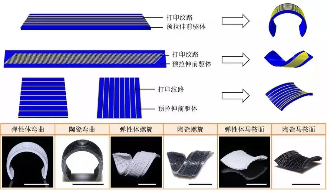 一篇顶刊配四项美国专利，香港城市大学首创陶瓷4D打印