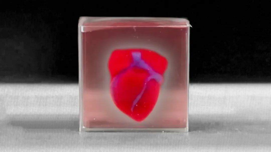 最新研究：生物3D打印的人类心脏实现泵血功能！