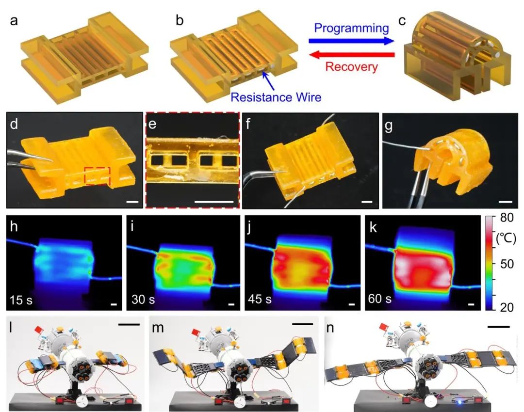 南科大顶刊：光固化4D打印超高力学性能形状记忆高分子材料