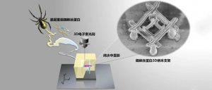 比钢丝绳强5倍：中国科学家3D打印蜘蛛丝复杂三维纳米结构