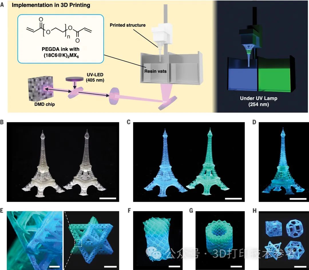 2024年首篇Science，3D打印应用突破！