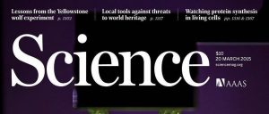 取得商业化最成功的3D打印Science研究