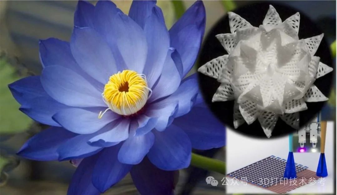 南科大&西交大：陶瓷4D打印最新研究进展