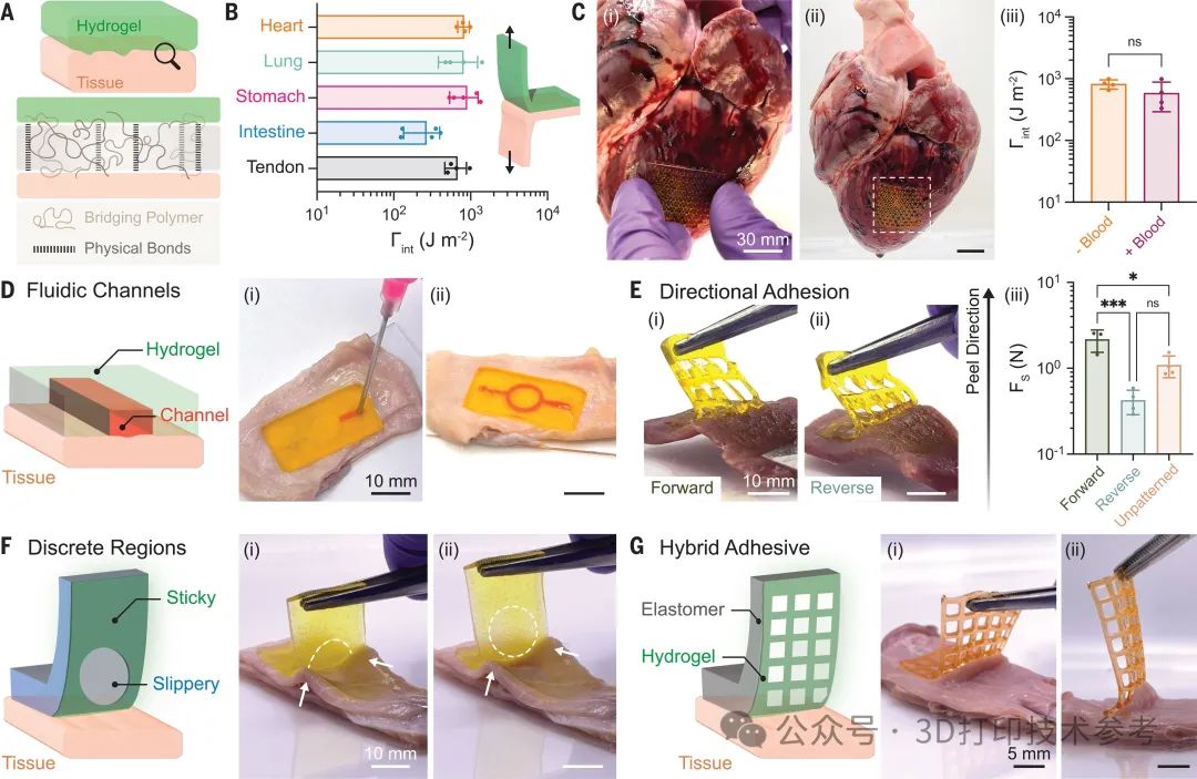 2024第3篇Science：心脏创可贴，3D打印材料科学又一重大突破！