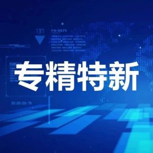 一技之长！多家3D打印企业入选2024“专精特新”小巨人企业